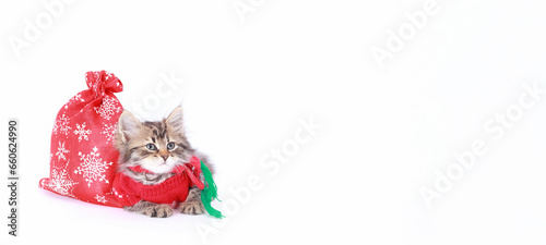 Tiny Kitten on the white background. Kitten Santa Claus. Merry Christmas. Happy New Year.   New Year shopping, sale concept. Holiday shopping. Christmas bags with gifts. New Year greeting card.  © Mariia