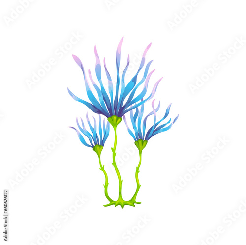 Cartoon underwater strap kelp seaweed plant. Aquarium and sea algae. Ocean underwater algae, tropical sea water flora or undersea deep weed, coral reef or aquarium isolated vector marine seaweed plant