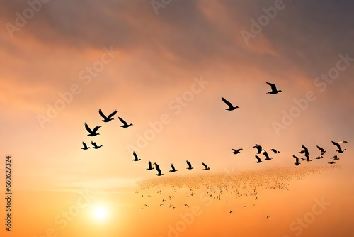 flock of migrating geese flying in a V formation against a sunset sky. © Fahad