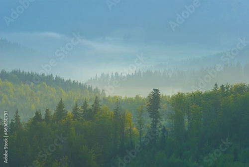 mountain valley covered by forest in early morning mist