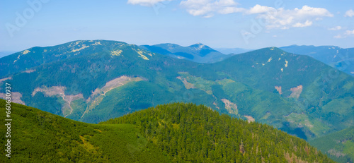 summer green mountain valley landscape