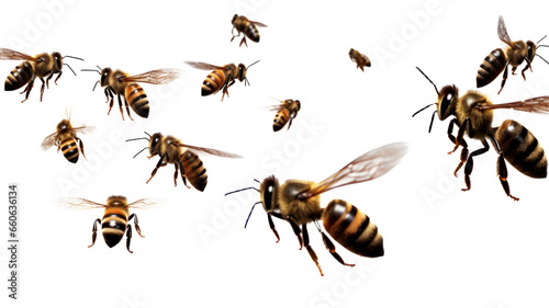 a bee is flying, isolated on transparent background, macro, generative AI © Bird Visual