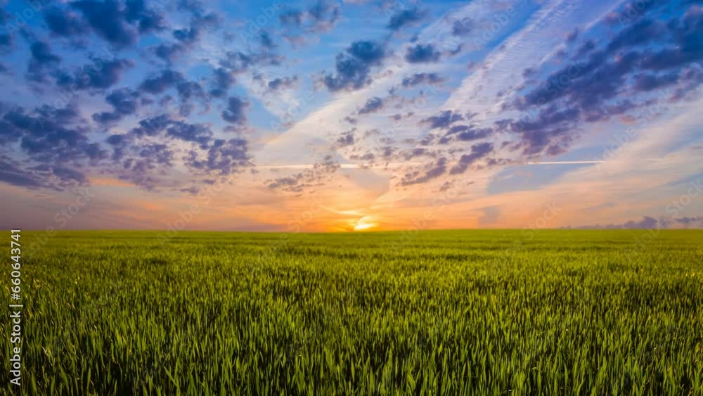green rural field at the sunset, quiet summer agricultural time lapse scene green rural field at the sunset, quiet summer agricultural time lapse scene