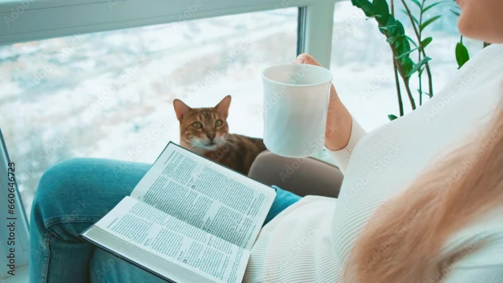  woman with bengal cat reading novel book sitting near window on armchair. Cozy home white room, apartment urban winter top view snow is falling. Pretty Girl enjoys hobby literature hand holds cup. 4k