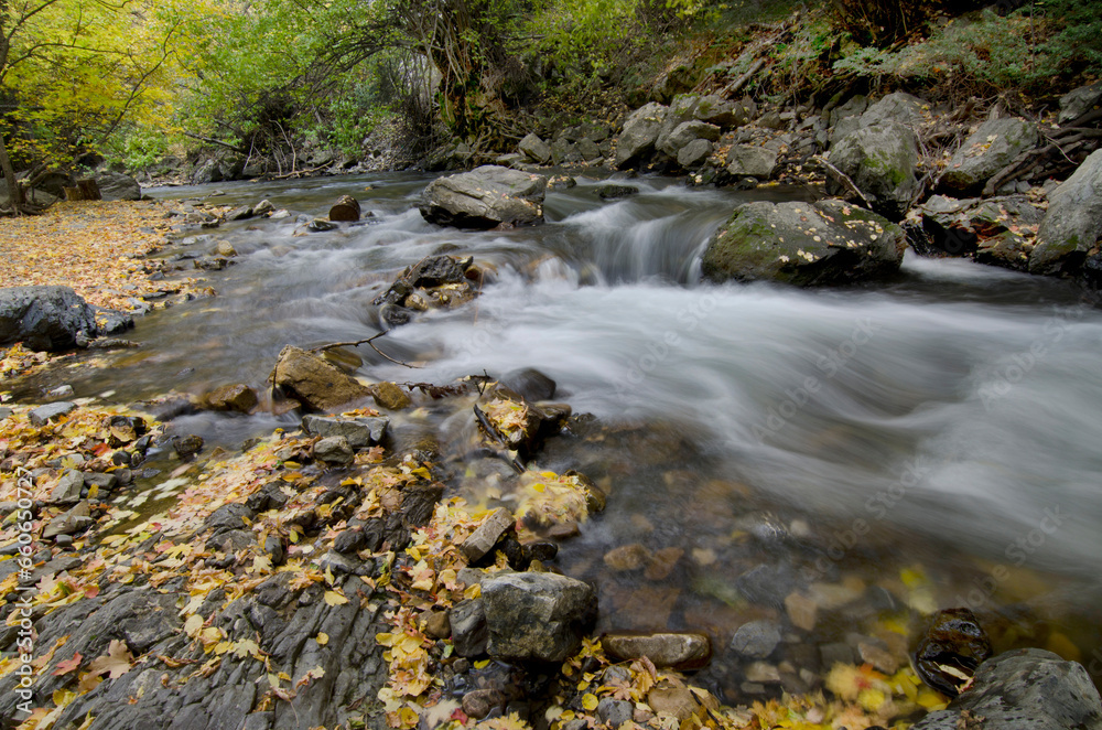 stream in the mountains, Fall season, Fall in the mountains, moving water, stream in motion