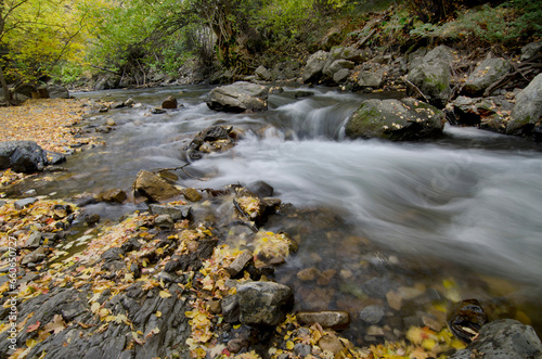 stream in the mountains  Fall season  Fall in the mountains  moving water  stream in motion