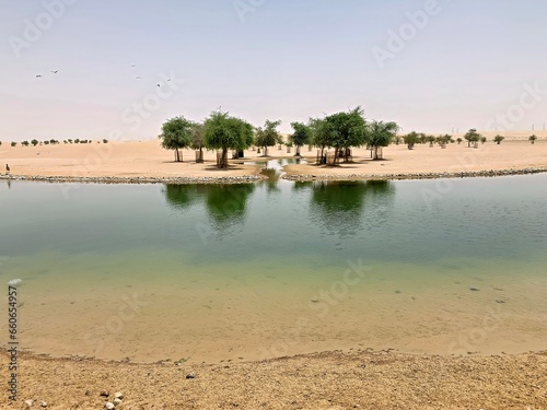 Fototapeta Naklejka Na Ścianę i Meble -  Crescent Moon Lake in the Dubai desert. Man made to fight back the desert and regreen the desert