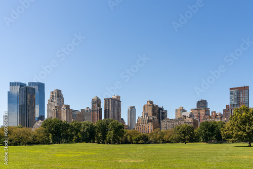 Green lawn at Central Park and Manhattan skyline skyscrapers at day time  New York City  USA