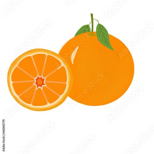 Illustration of orange fruit and orange slices 