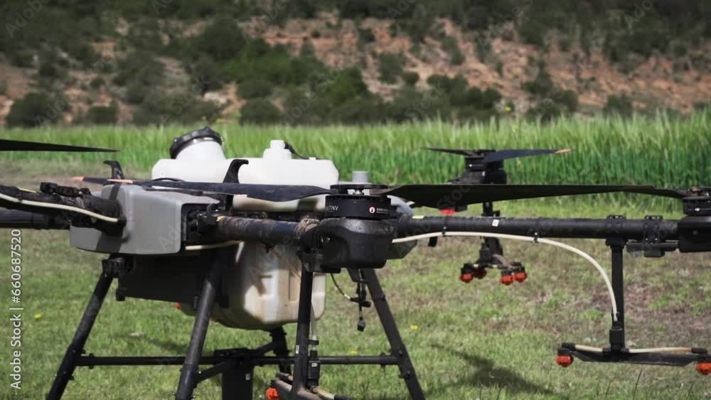 Elevating drone in barley crop Elevating drone in barley crop