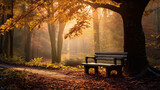 bench in the fall forest