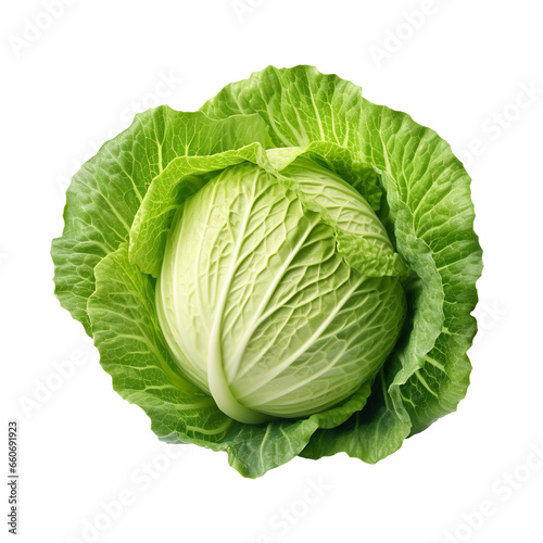 cabbage isolated on transparent background