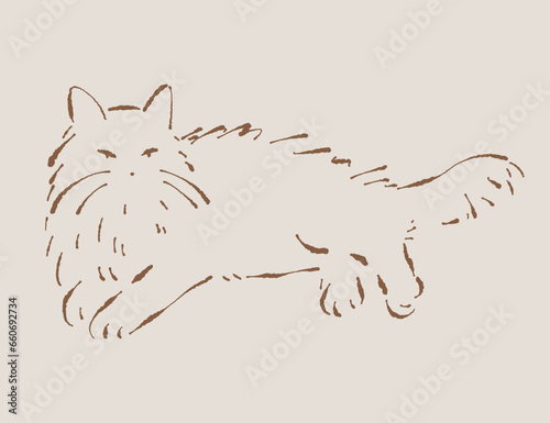 Lying fluffy cat illustration. Hand drawn vector. Cat in relaxed pose