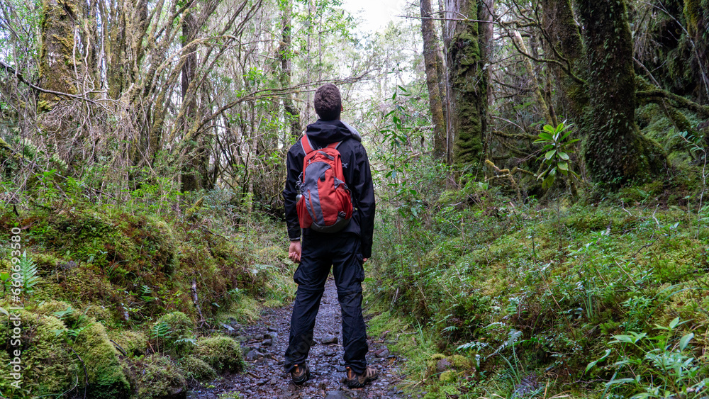 A young individual trekking through a forest, pausing to admire and appreciate the surrounding nature.