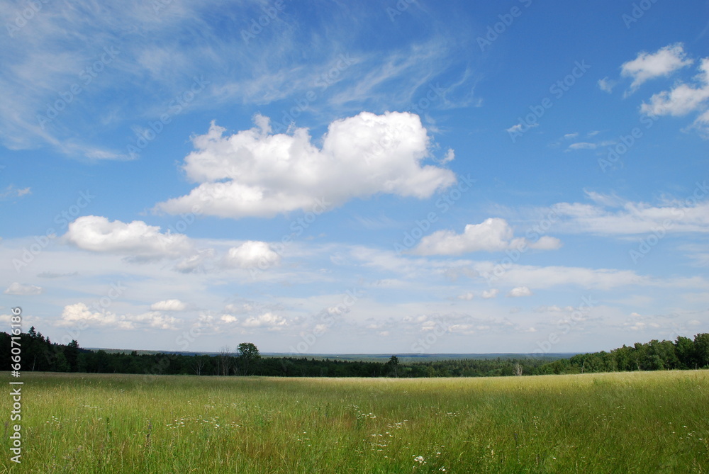 Green field under the clouds. On a sunny summer day, small cumulus clouds hang in the blue sky. Below them is a green meadow with tall grass and wildflowers. A forest is visible in the distance. Green field under the clouds. On a sunny summer day, small cumulus clouds hang in the blue sky. Below them is a green meadow with tall grass and wildflowers. A forest is visible in the distance.