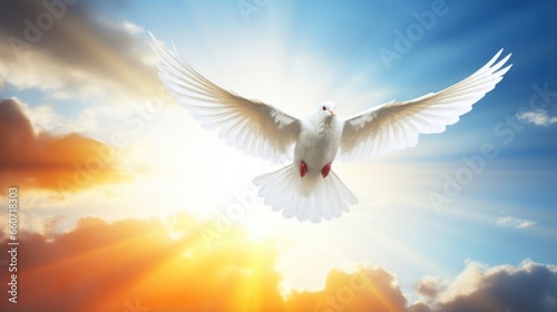 Concept photo of a dove flying in the sky, symbolizing peace and hope, as the suns rays appear to be emanating from its wings.