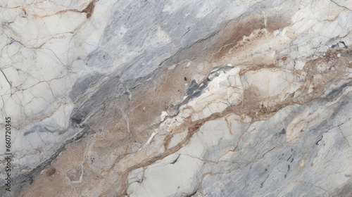 Texture of Rhyolite with a finegrained composition, featuring a subtle color variation between light and dark gray, giving the rock a subtle and understated appearance. photo