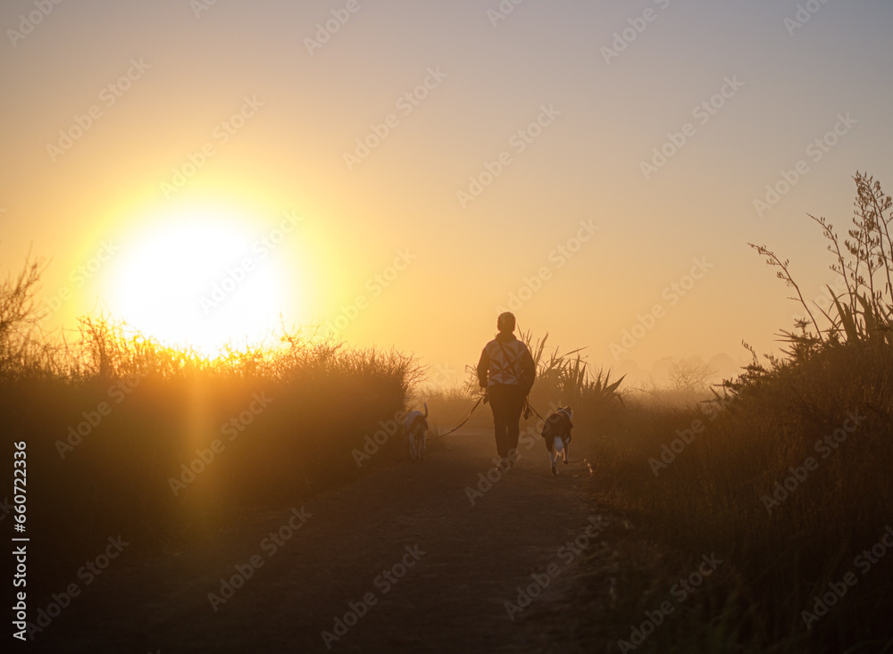 looking into the sun at a woman walking a medium sized dog on a boardwalk through an estuary at dawn in the winter season