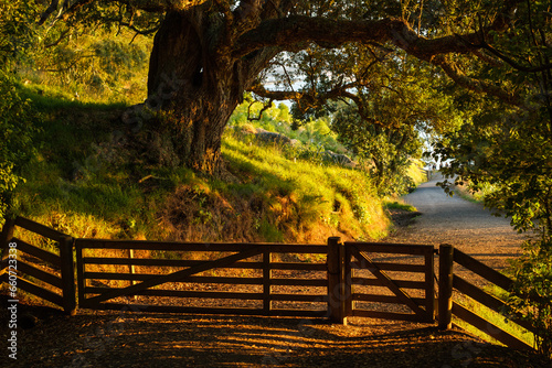 Closed farm gate