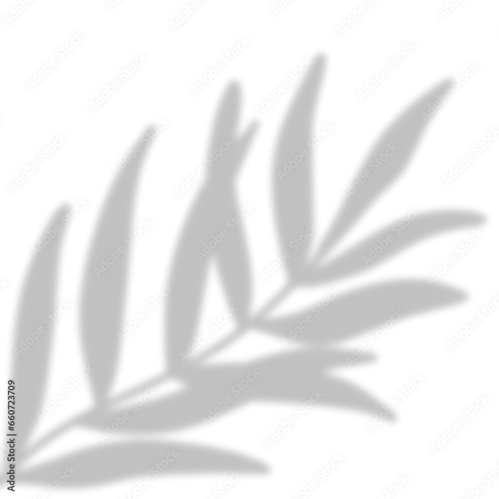 Fototapeta premium Leaves Shadow Overlay