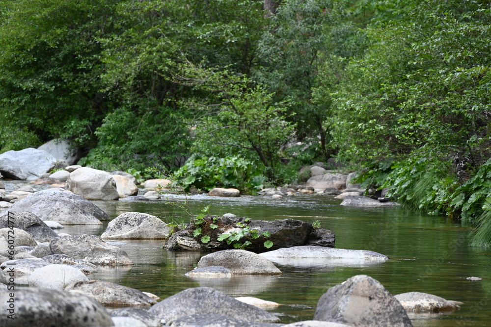 The Yuba River near Washington, California. The Yuba River near Washington, California.