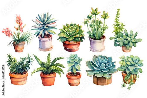 set of indoor succulents in pots in watercolor  drawing isolated on transparent background