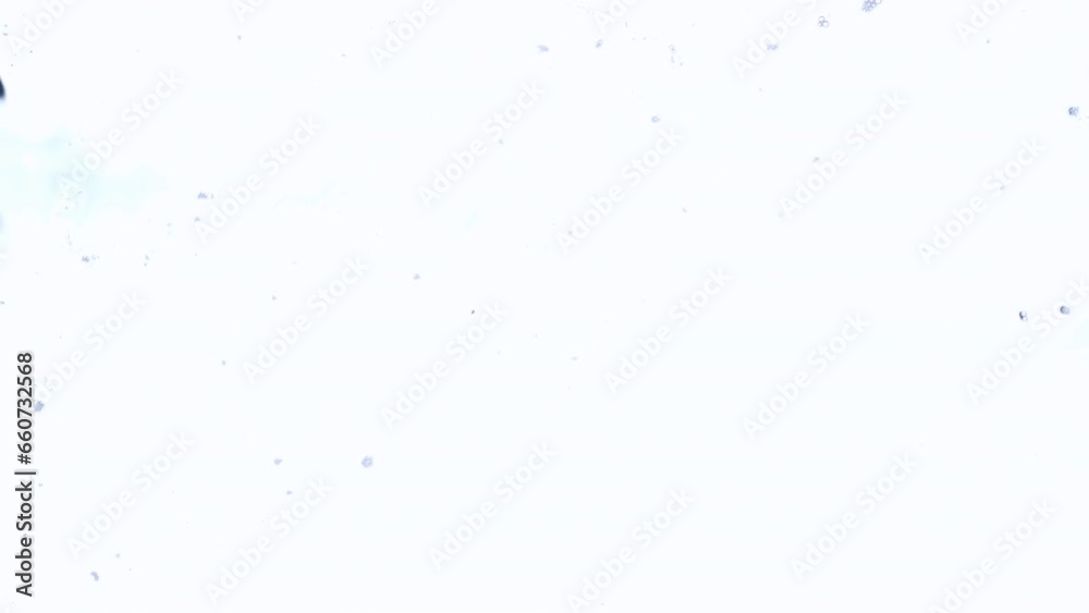 Macro foam bubbles popping and blown by the wind on the surface, abstract background. Slow motion Macro foam bubbles popping and blown by the wind on the surface, abstract background. Slow motion