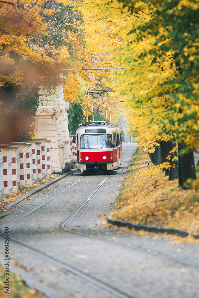 tram in the city tram in the city