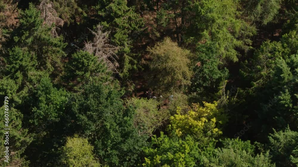 Aerial drone shot of forest woodland in the countryside with people gathering on the ground Aerial drone shot of forest woodland in the countryside with people gathering on the ground