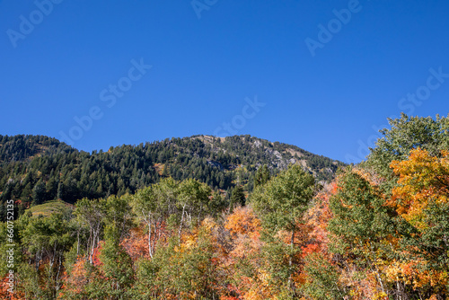 Autumn in the Rocky mountains