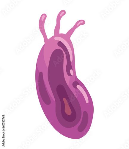 virus nipah infection