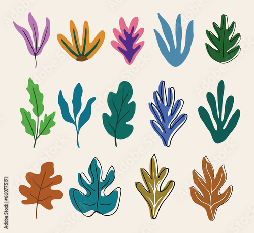 Trendy botanical elements, Hand drawn line leaves branches and blooming