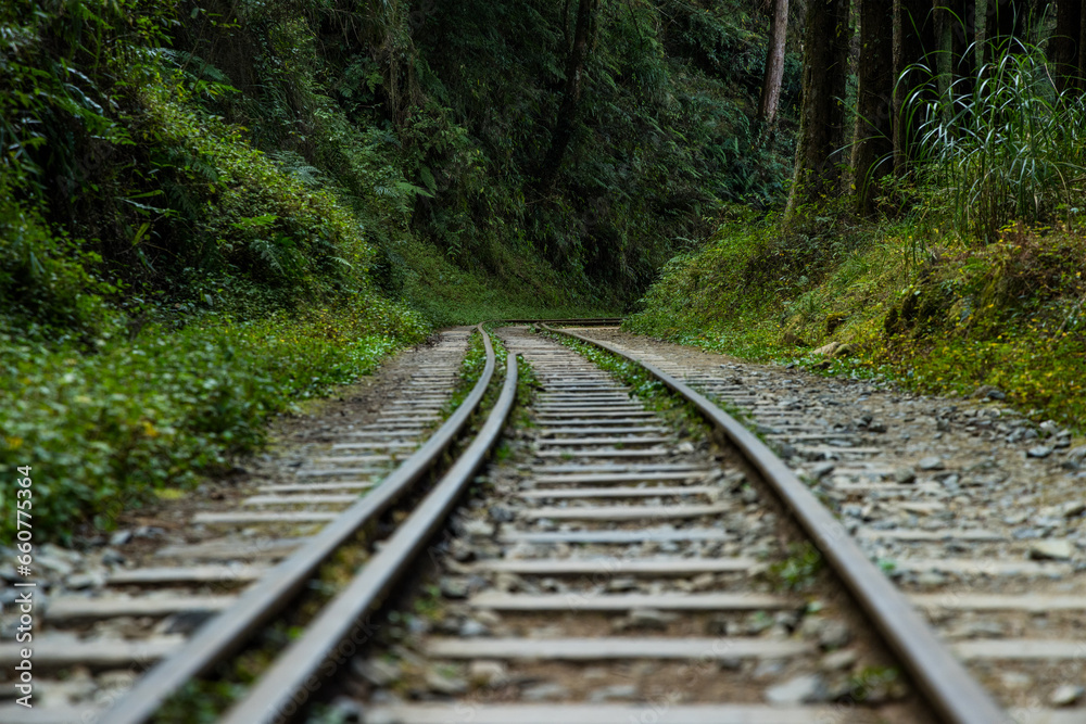 Train track in Alishan national park in Taiwan