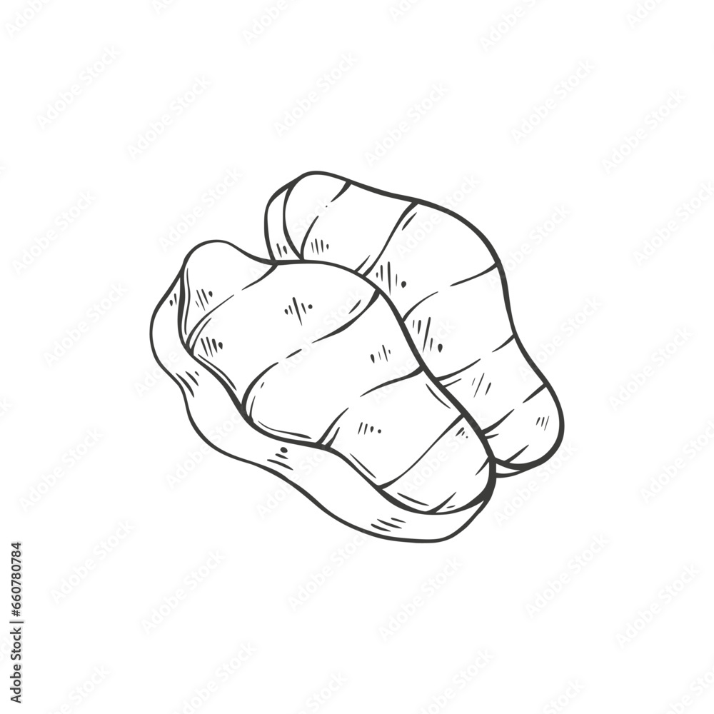 meat hand drawing vector illustration