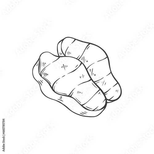 Obraz na płótnie meat hand drawing vector illustration w salonie
