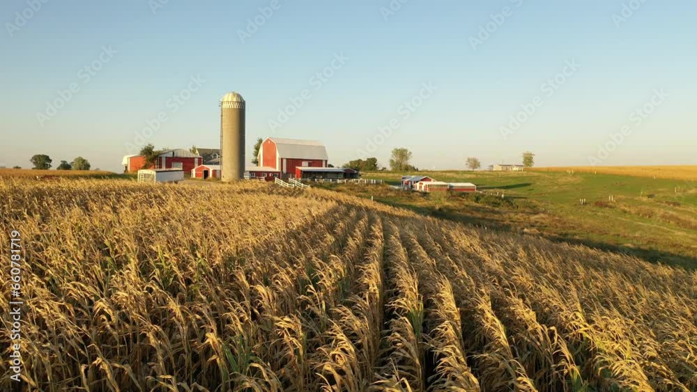 Aerial view of the Midwest USA in autumn. Rural landscape, countryside. Farmland, Agriculture field