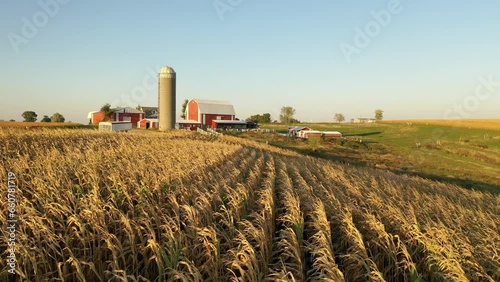 Aerial view of the Midwest USA in autumn. Rural landscape, countryside. Farmland, Agriculture field