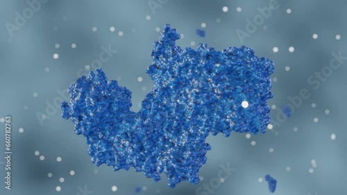 Botulinum toxin, or botulinum neurotoxin, is a neurotoxic protein produced by the bacterium Clostridium botulinum 3d rendering photo