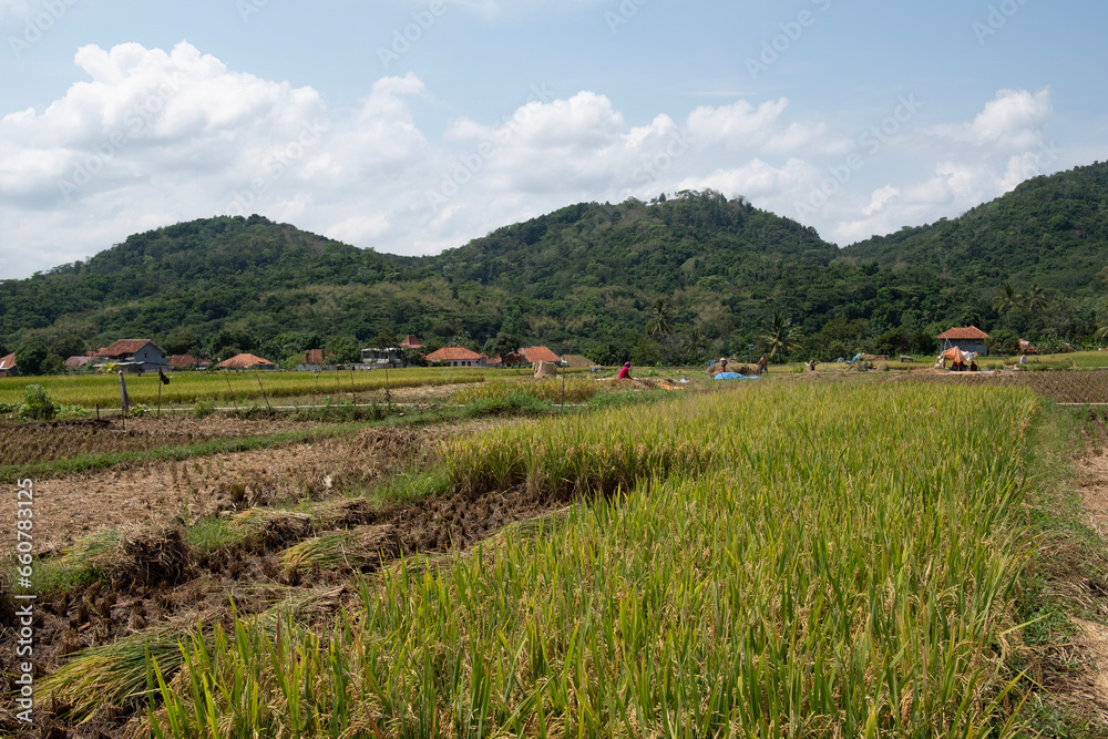 beautiful scenery in a green and cool village beautiful scenery in a green and cool village