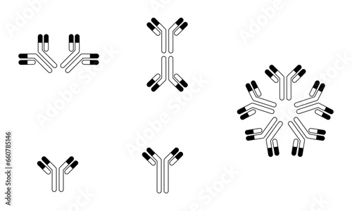 可変部が描いてある抗体のイラスト photo