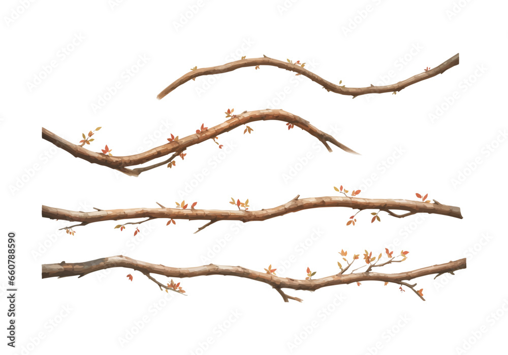Fototapeta premium Tree branches collection set. Isolated white background rustic arch watercolor design elements vector illustration