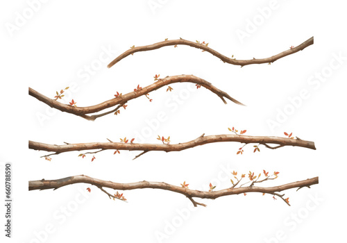 Tree branches collection set. Isolated white background rustic arch watercolor design elements vector illustration