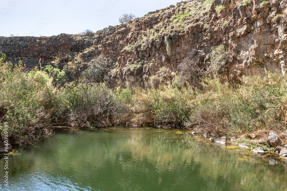A small  lake with fish framed by rocks with overgrown bushes and trees on the banks in Yehudia National Natural Park in northern Israel