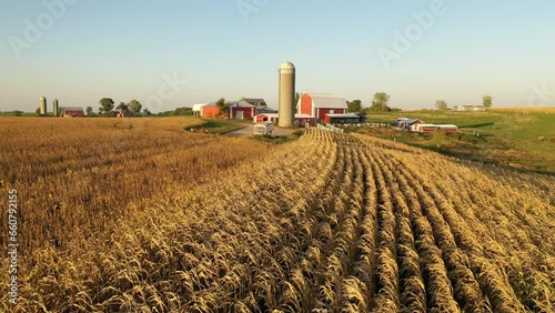 Aerial view of the Midwest USA in autumn. Rural landscape, countryside. Farmland, Agriculture field
