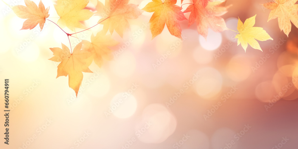 autumn leaves background