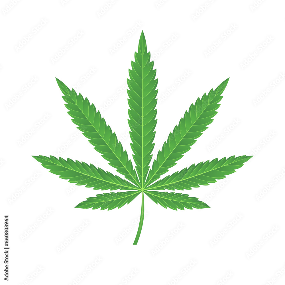 green marijuana leaf vector illustration