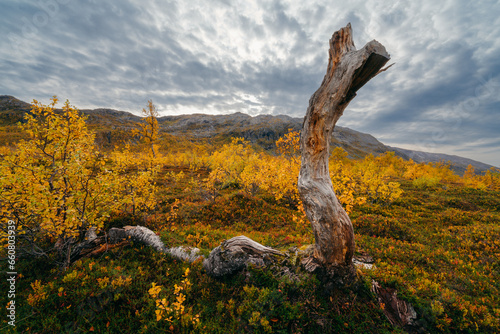 Autumn in Tromso and it's neighbouring island Kvaloya. High quality photo
