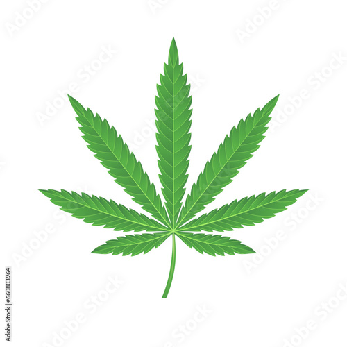 green marijuana leaf vector illustration