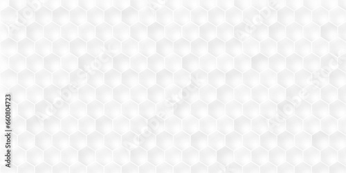 Vector illustration with honeycomb in realistic style. White wall. Horizontal banner. Modern design for wallpaper, flyer, poster. © Sharmin