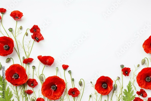 Poppy flowers arrangement on white background. Top view with space for text. Generative AI